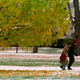 Image for article titled Alum Tells Smith College to Quit Admitting Poors